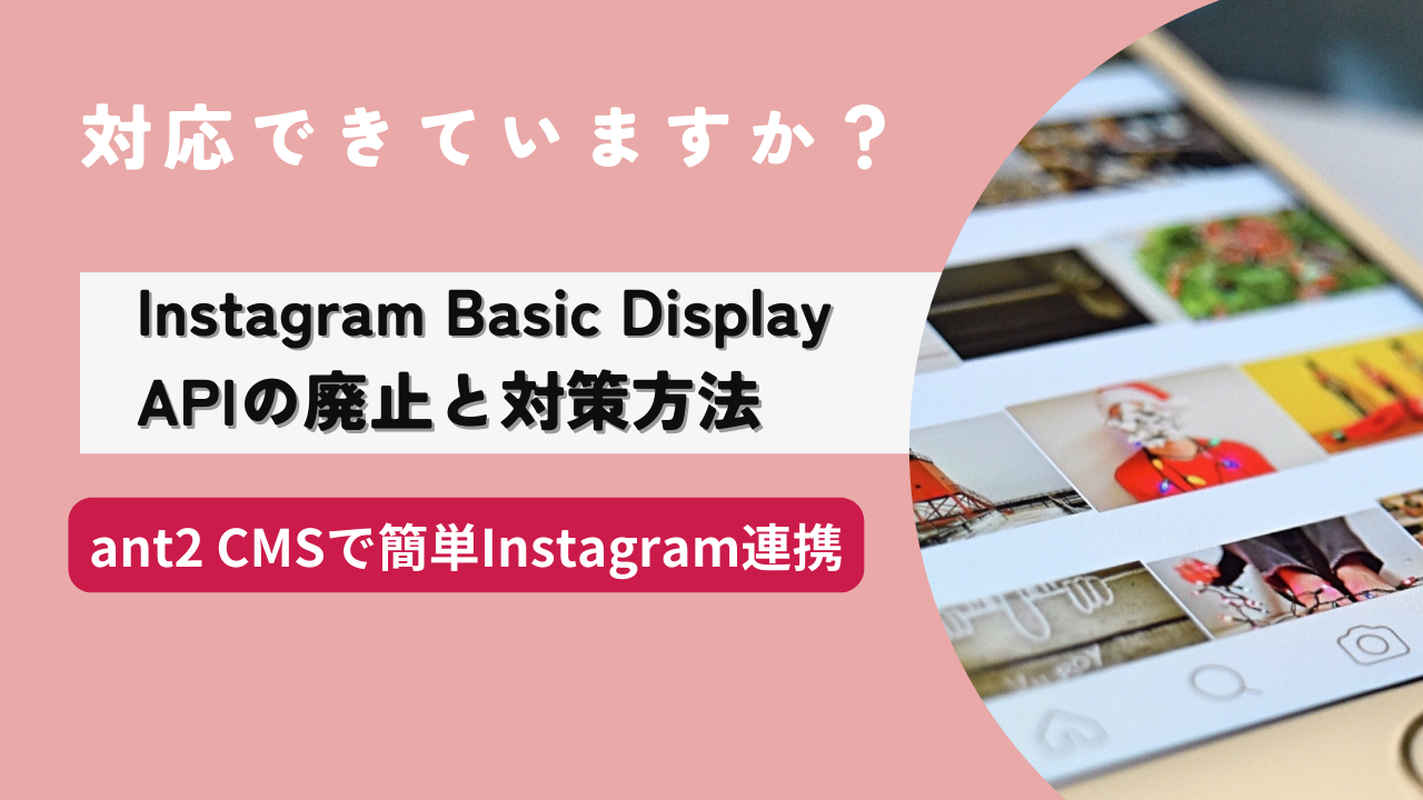 Instagram Basic Display API